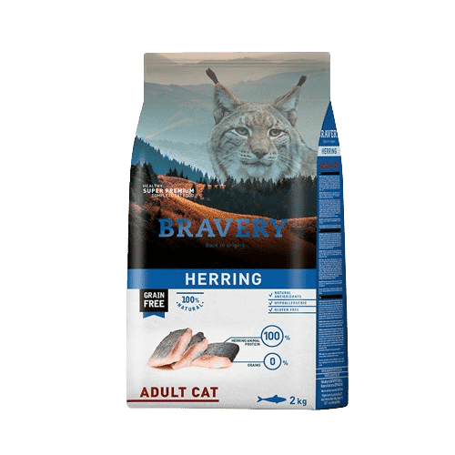 Bravery Herring Adult Cat