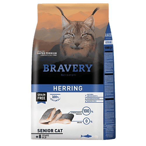 Bravery Herring Senior Cat