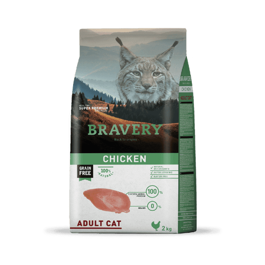 Bravery Chicken Adult Cat