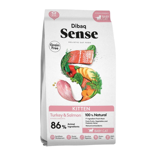 Dibaq Sense Kittens Y Gatito