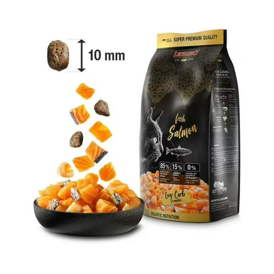 Leonardo Fresh Salmon